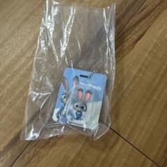 주트 피어 패키지 매력 주디