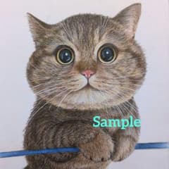 色鉛筆画(13.5×19cm)「…にゃは♪」猫♡ - メルカリ