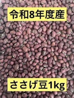 令和8年度産ささげ豆1kg - メルカリ