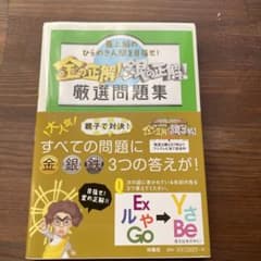 金の正解!銀の正解!厳選問題集 : 最上級のひらめき人間を目指せ!のサムネイル