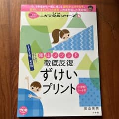 隂山メソッド徹底反復ずけいプリント : 小学校1～6年のサムネイル