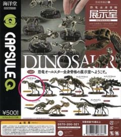 海洋堂 カプセルQ 恐竜発掘記 アロサウルス ナチュラルカラーのサムネイル