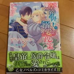 皇帝陛下の溺愛政策のサムネイル