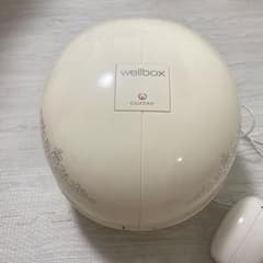 家庭用エンダモロジー LPG WELLBOX ウェルボックス モモエリ モデル