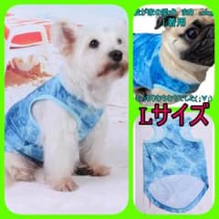 Lサイズ★１度着用★1点限り★即購入OK★犬服のサムネイル