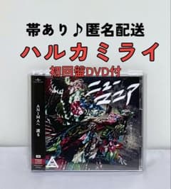ハルカミライDVD２枚セット LIVE Blu-ray&DVD 本日発売！】 本日、2024年5月29日発売 LIVE Blu