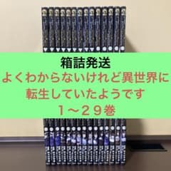 よくわからないけれど異世界に転生していたようです 1〜29巻 ラノベ