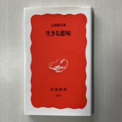 生きる意味 上田紀行 岩波新書のサムネイル