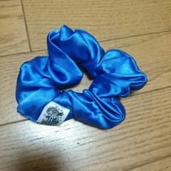 AAA シュシュのサムネイル