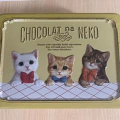 猫箱のサムネイル
