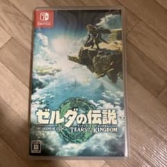 ゼルダの伝説 ティアーズ オブ ザ キングダムのサムネイル