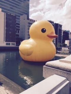 専用のサムネイル