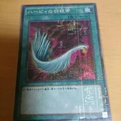 ハーピィの羽箒のサムネイル