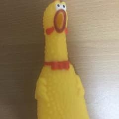 とりのサムネイル