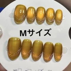 セツ】マグネット ネイルチップ 付け爪（A1694） - メルカリ