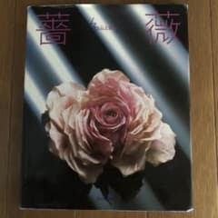 山上るい　薔薇のサムネイル
