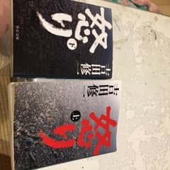 格安★怒り 文庫本 上下巻のサムネイル