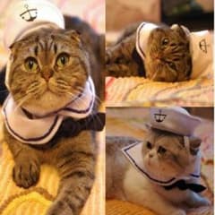 猫 犬 サマー 夏 マリン ハット & セーラー ケープ セット 調節可能のサムネイル