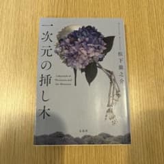 一次元の挿し木のサムネイル