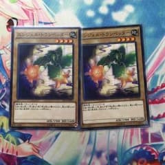 カトケン様専用のサムネイル