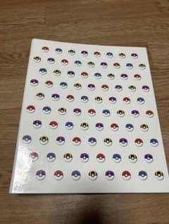포켓몬 카드 게임 클리어 파일 컬렉션