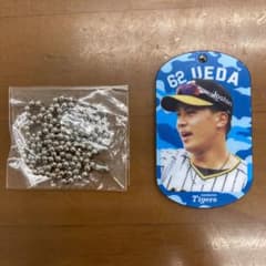 阪神タイガース【イケメン植田海】62 - メルカリ