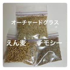 オーチャードグラス えん麦 チモシー 種子セット【組み合わせ自由】のサムネイル