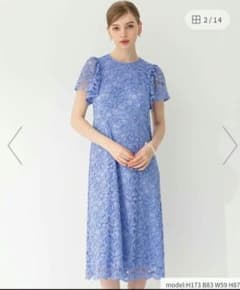 極美品 23区 マルフィークドレス 総レース ワンピース 現行 定価4.4万 定価4.4万円 23区 M 【APPLAUDIR】マルフィークレース ドレス - メルカリ