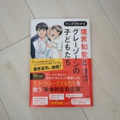 境界知能とグレーゾーンの子どもたち　宮口幸治　佐々木昭后のサムネイル