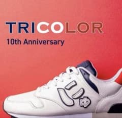 美品　サンガッチョ『にゅーず』トリコロール　10周年記念モデル　メンズ　26㎝のサムネイル