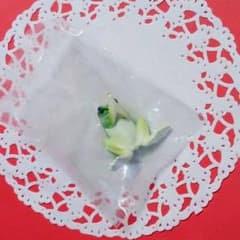 合掌〜カエルのサムネイル