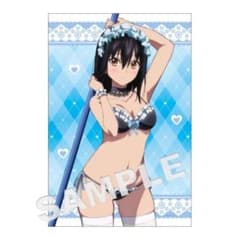 新品未開封】ストブラ B2タペストリー 姫柊雪菜（ビキニメイド風 
