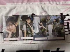櫻坂46 山下瞳月　マモリビト　コンプのサムネイル