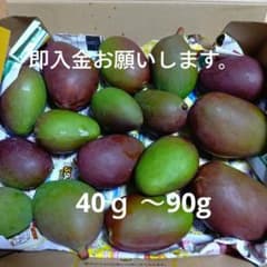 摘果マンゴー 約1キロ - メルカリ