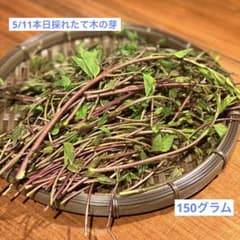 5/11 本日採れたて新鮮木の芽 150グラム すぐ発送のサムネイル