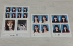 seju 証明写真 向井怜衣 夏川メガン 今井環希のサムネイル
