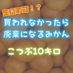 廃棄前みかん　小粒　10kg フードロス削減　和歌山県産　お得のサムネイル