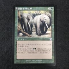 MTG 獣群の呼び声 英語版 foil 1枚 TSB版 MTG 獣群の呼び声 日本語1枚 TSB版 - メルカリ