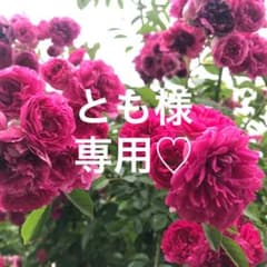 とも様専用です！のサムネイル