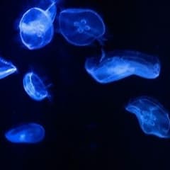 ようすけ様専用のサムネイル