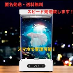 m38913178951_1.jpg?1746211486