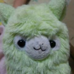 アルパカのパスケースのサムネイル