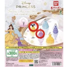 Disney Princess コスチュームぬじるしアクセサリーのサムネイル