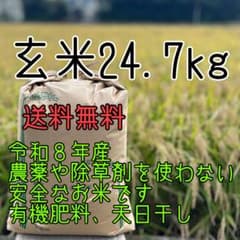 (送料無料)農家直送 玄米24.7㎏ 農薬不使用 有機栽培 天日干し お米 静岡 送料無料:玄米24.7kg 農薬,除草剤を使わない安全なお米 有機栽培 天