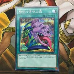 強欲で貪欲な壺＊シークレットレア＊シクのサムネイル