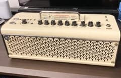 THR30II Wirelessのサムネイル