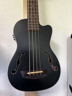 ころぽっくる 様専用】Gold Tone M-Bass マイクロベース | Shop at