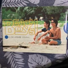 ビーチボーイズ作品集 メモリアル・アルバムのサムネイル