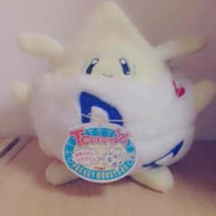 ポケモンぬいぐるみのサムネイル