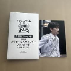 StrayKids スキズ 映画 dominATE 入場特典 トレカ スンミン - メルカリ
